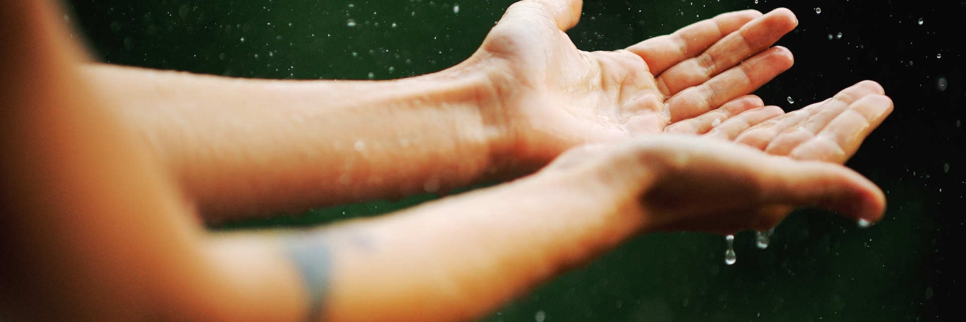 Shutterstock 387789898