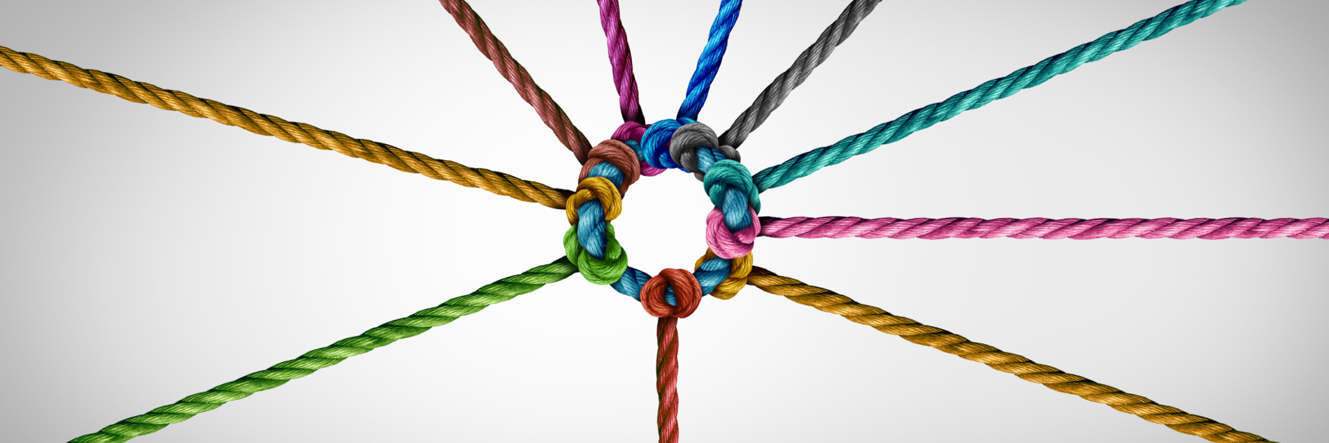 Amrop Nederland Team Executive Search