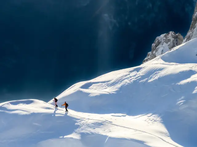 Amrop Talent Observatory 2021 Alt