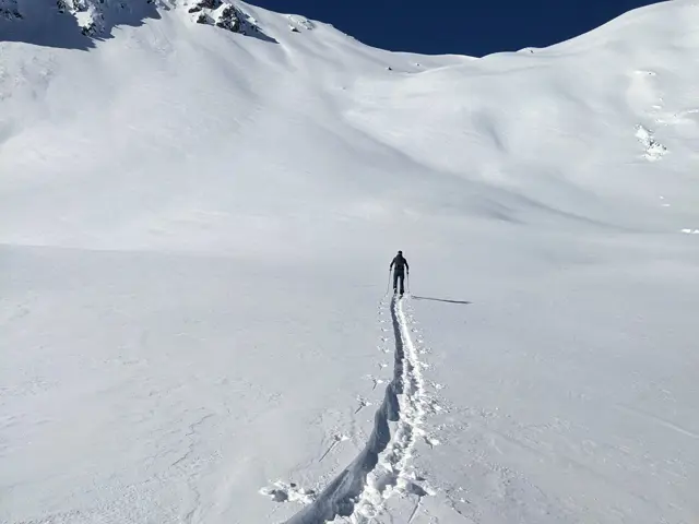 Amrop Talent Observatory 2021 Alt