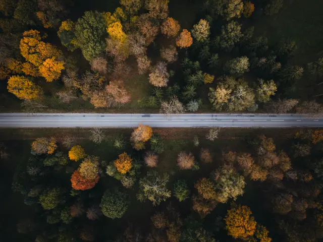 Shutterstock 1527434516 Copy