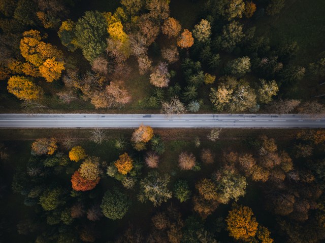 Shutterstock 1527434516 Copy