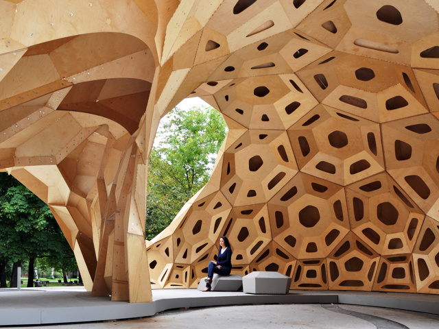 Leadership And Brain 2 Agility