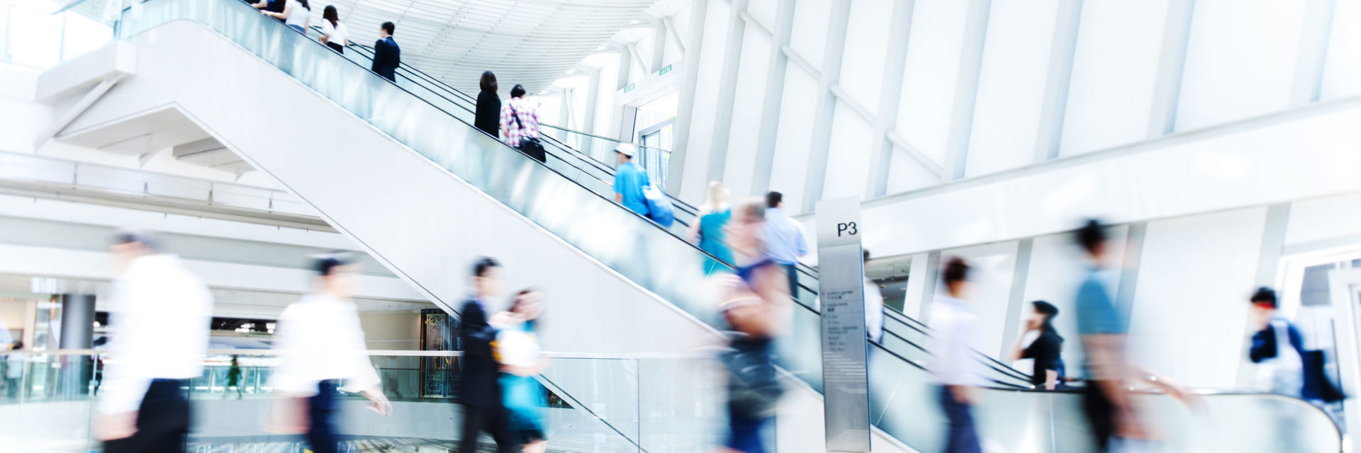 Digital Competency Model 2 Organization