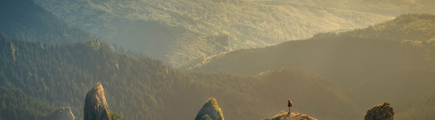 Digitization On Boards 4Th Edition Main