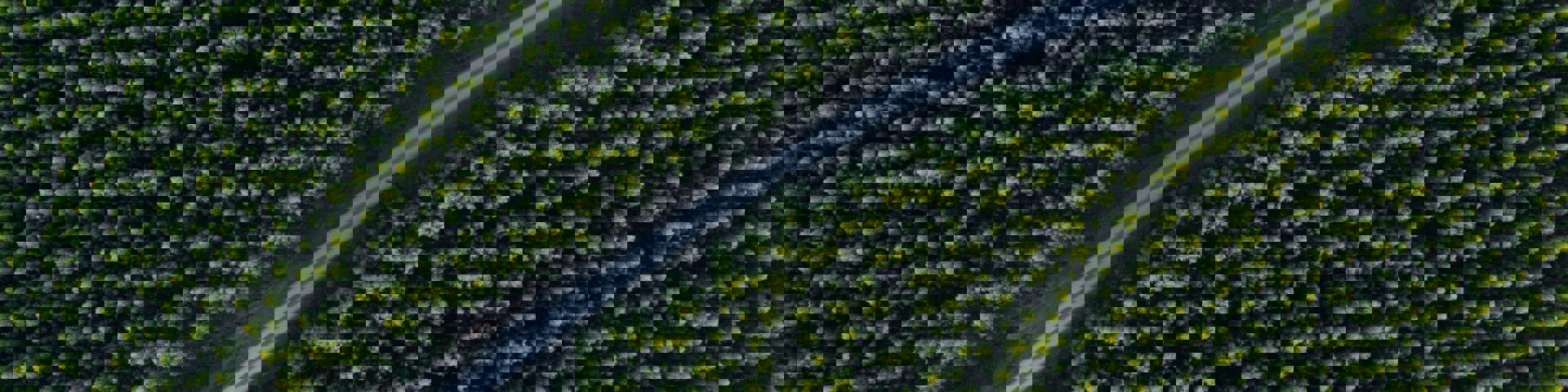 Kiril Dobrev 9Ka31genykm Unsplash