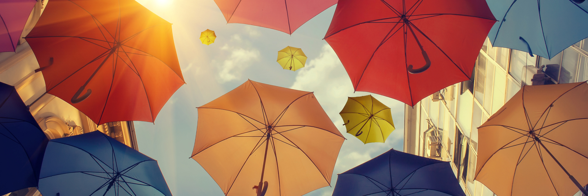 Case Of Sustainability FINANCIAL SERVICES