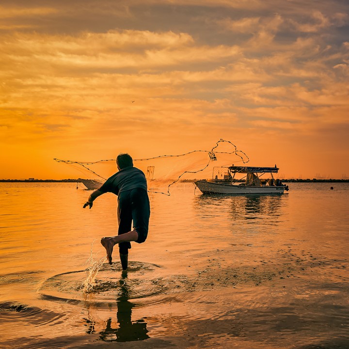 Shutterstock 1411006859 Copy