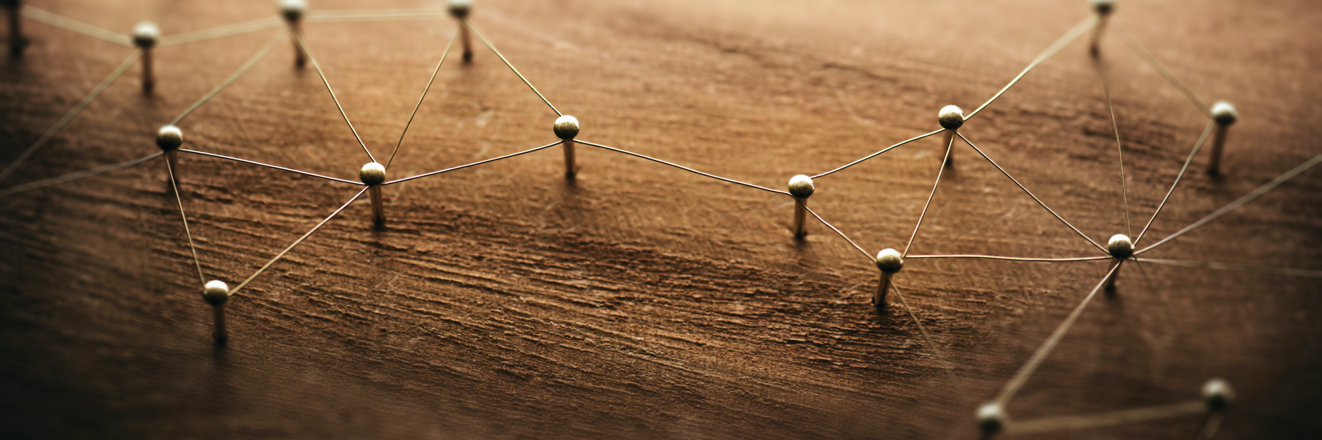 Shutterstock 709383190