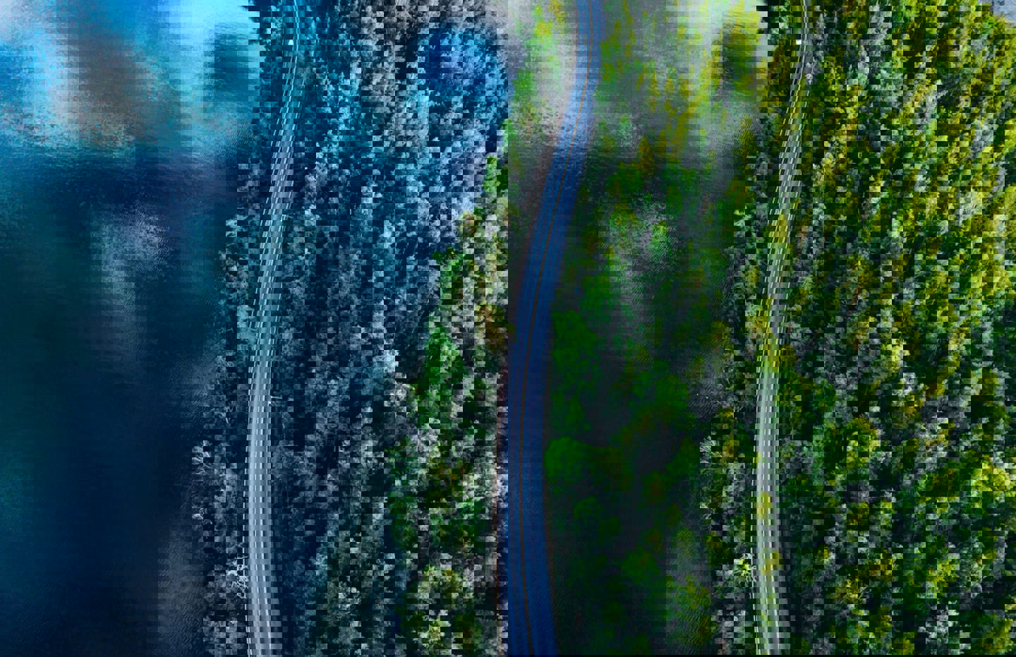 Trends in interim management voor 2025 - duurzaamheid en ESG