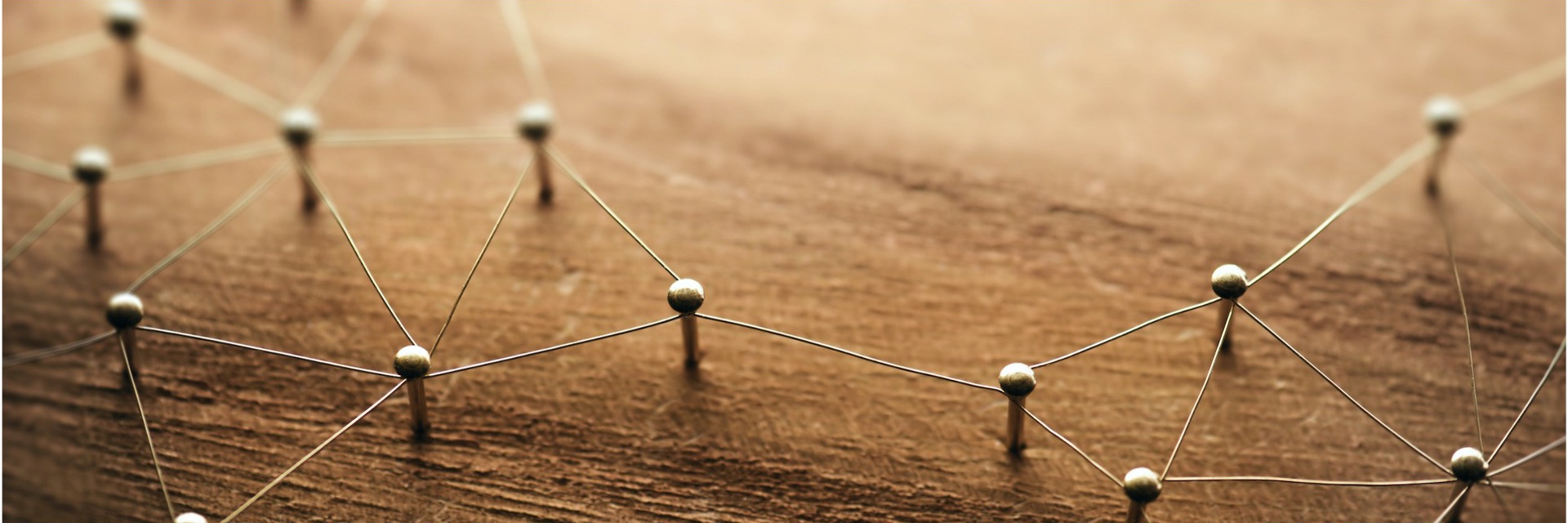 Organizational Design