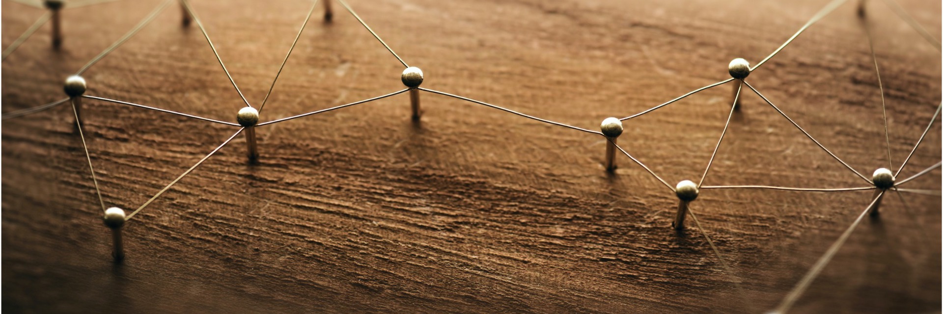 Organizational Design