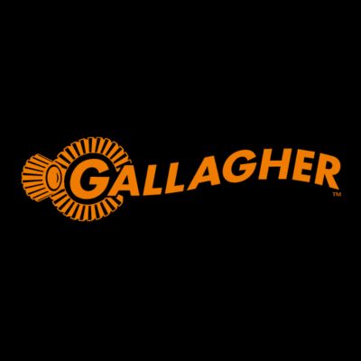 Gallagher Europe (1)