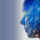 Amrop I Am Not A Robot 1 - Website Image 2