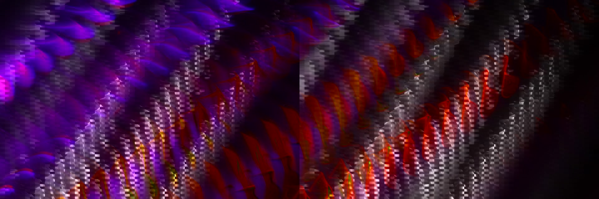 Meagan Carsience 8Fijvwty4im Unsplash