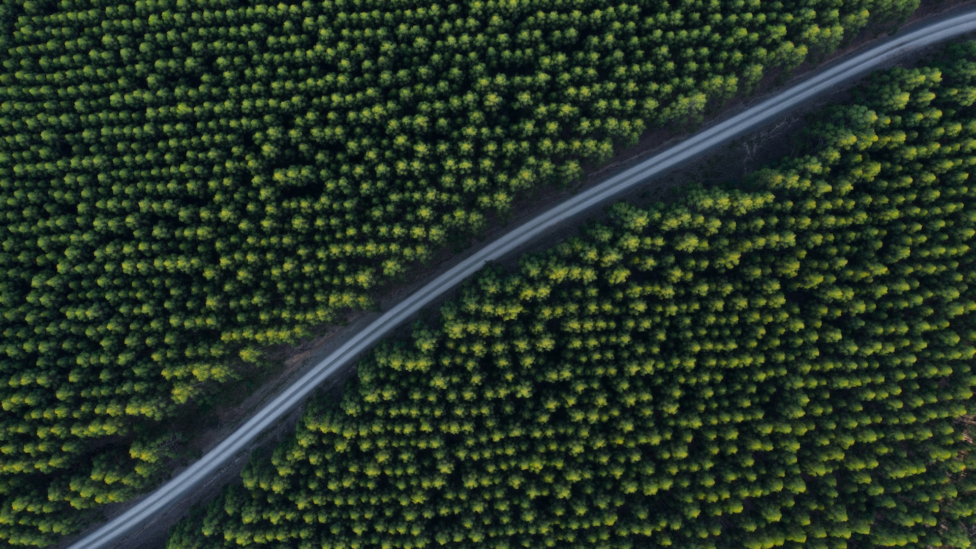 Header 2 2
