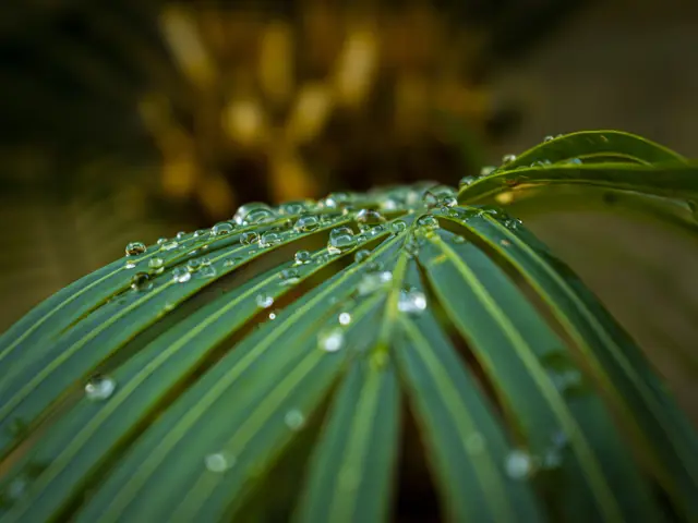 Shutterstock 1958417485