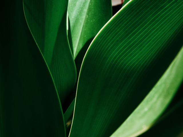 Shutterstock 1747314053