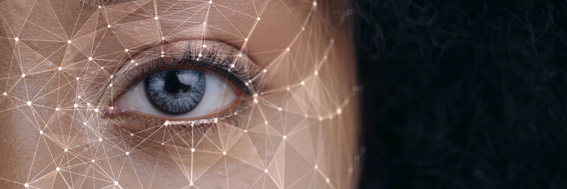 Shutterstock 1651644196