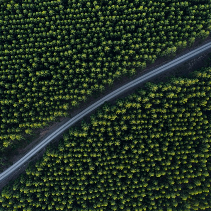 Kiril Dobrev 9Ka31genykm Unsplash