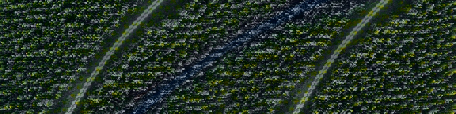 Kiril Dobrev 9Ka31genykm Unsplash