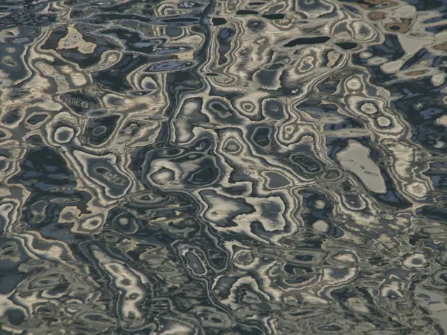 Personal Governance 5