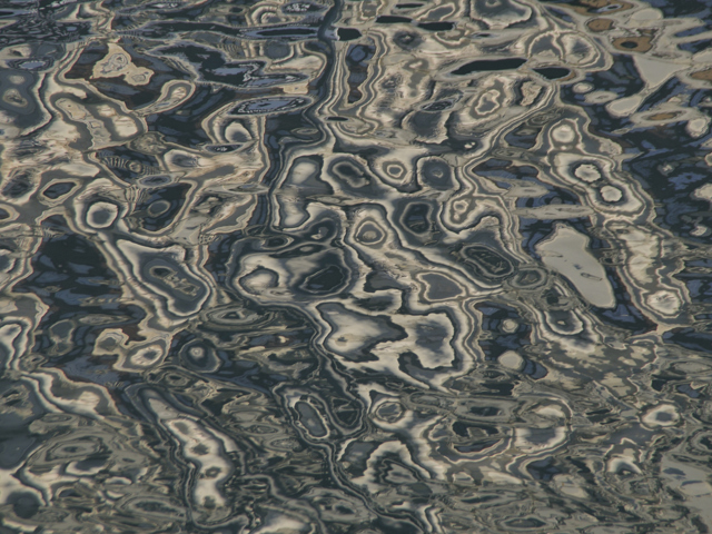 Personal Governance 5