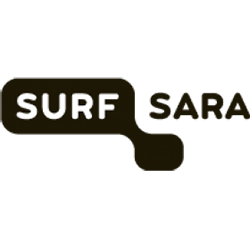 BDG Surfsara 19