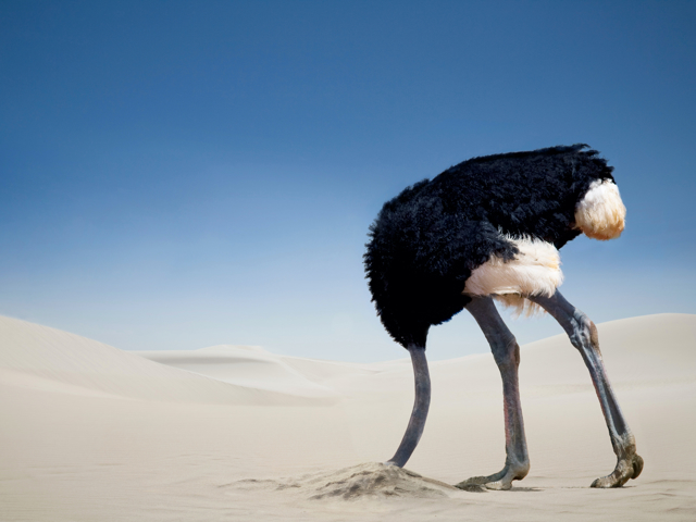 Shutterstock 1570154773