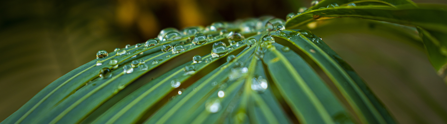 Shutterstock 1958417485