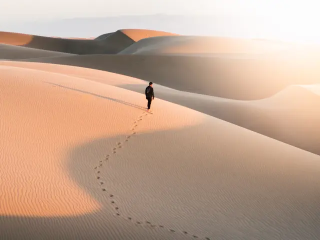 Kyle Cottrell 5D2af8afe5k Unsplash