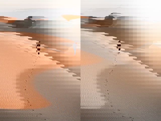 Kyle Cottrell 5D2af8afe5k Unsplash