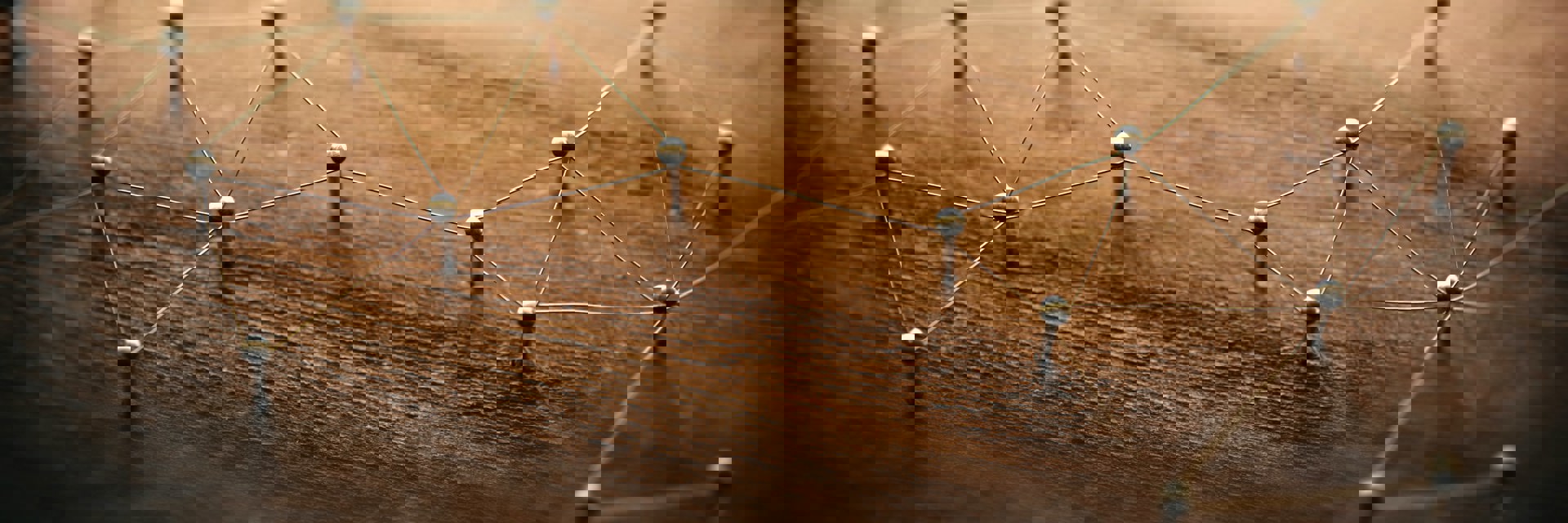 Shutterstock 709383190 Min