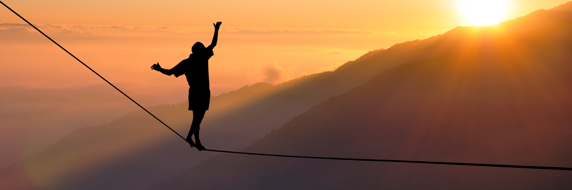 Shutterstock 558175072